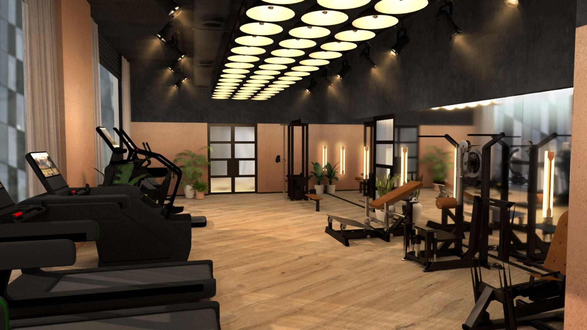 Silver Lagoon Limited gym design equipment 3D render