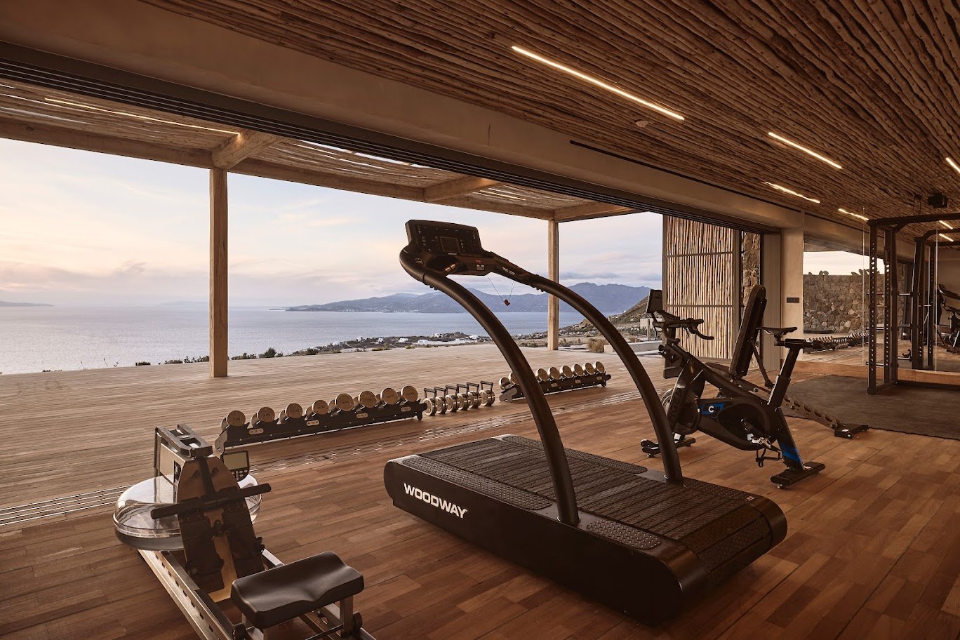 Villa Mylaig Mykonos Gym.jpeg